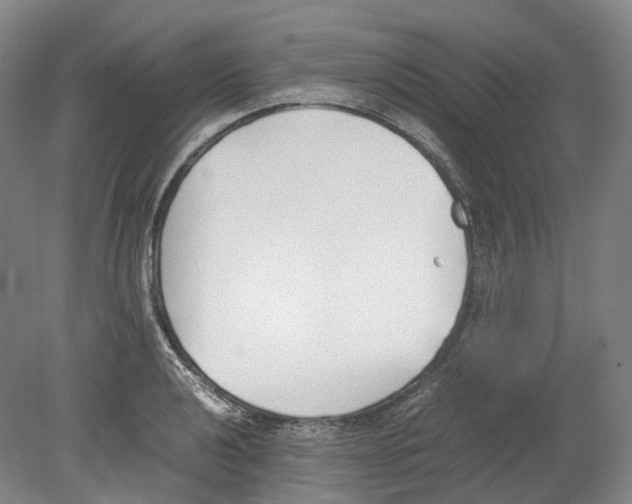 X0000078841040200612111550