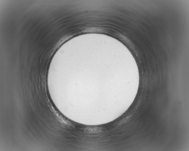 X0000078841041200612111550