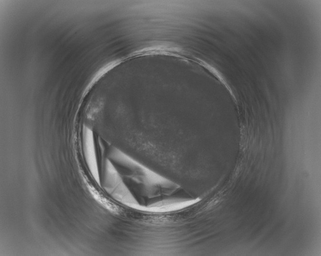 X0000078841042200612111550