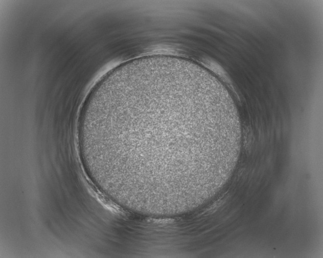 X0000078841043200612111550