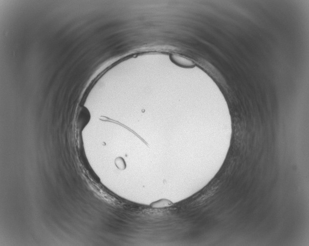 X0000078841044200612111550