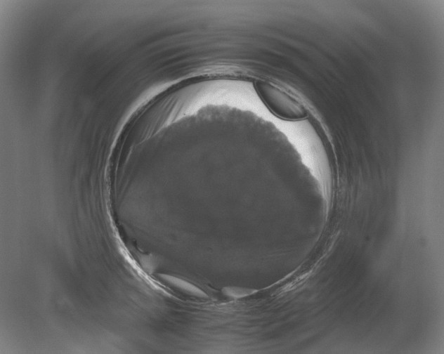 X0000078841045200612111550