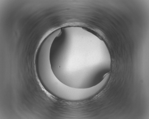 X0000078841046200612111550