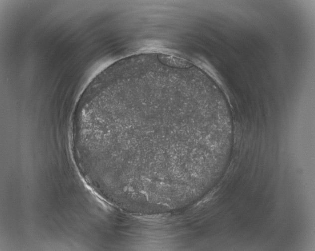 X0000078841048200612111550