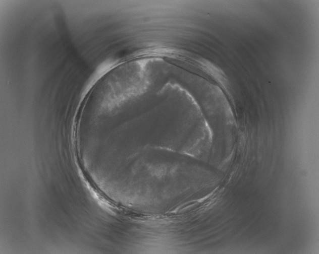 X0000078841050200612111550