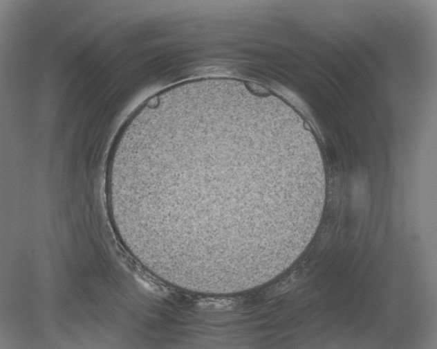 X0000078841051200612111550