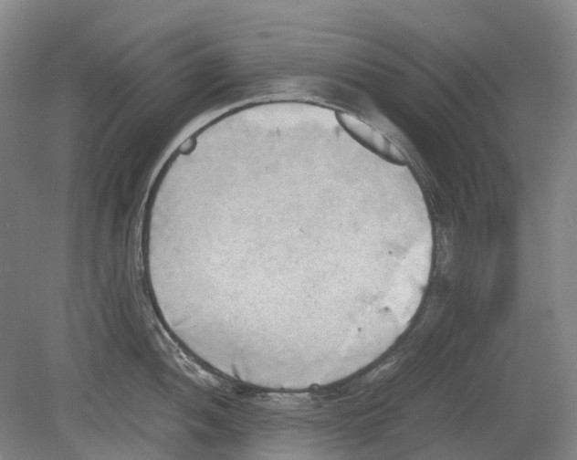 X0000078841052200612111550