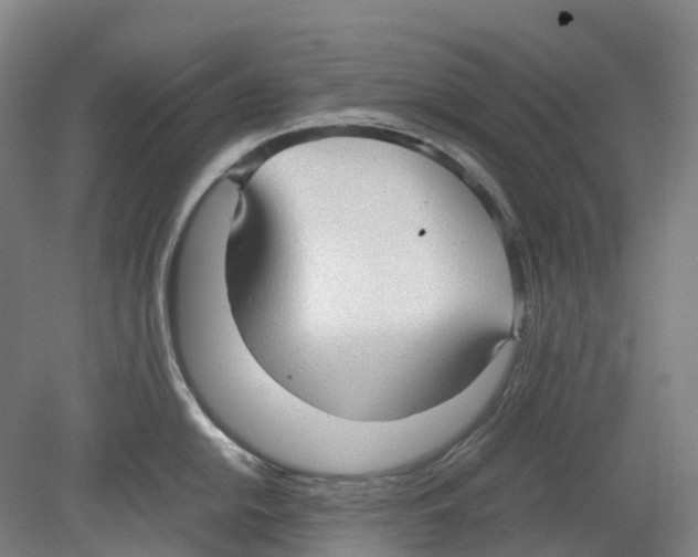 X0000078841054200612111550