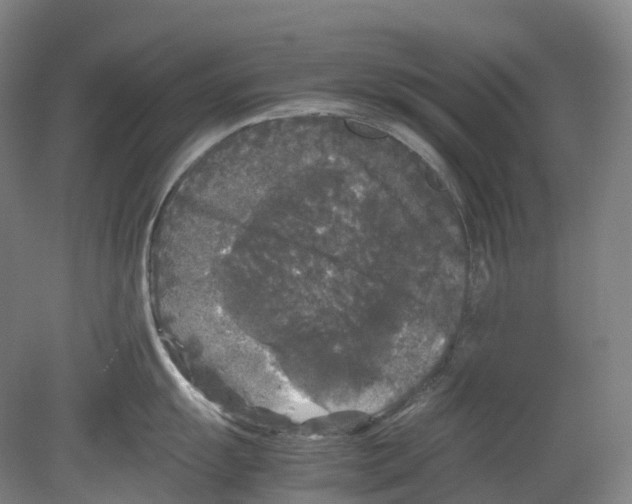 X0000078841055200612111550