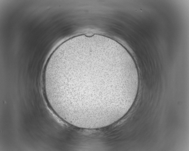 X0000078841056200612111550