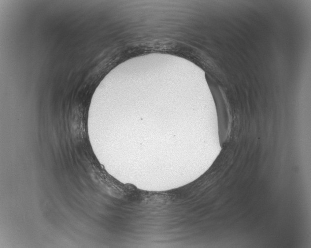 X0000078841058200612111550