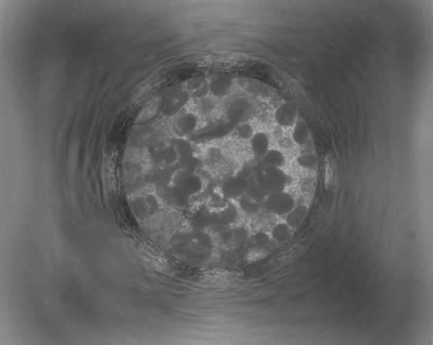 X0000078841059200612111550