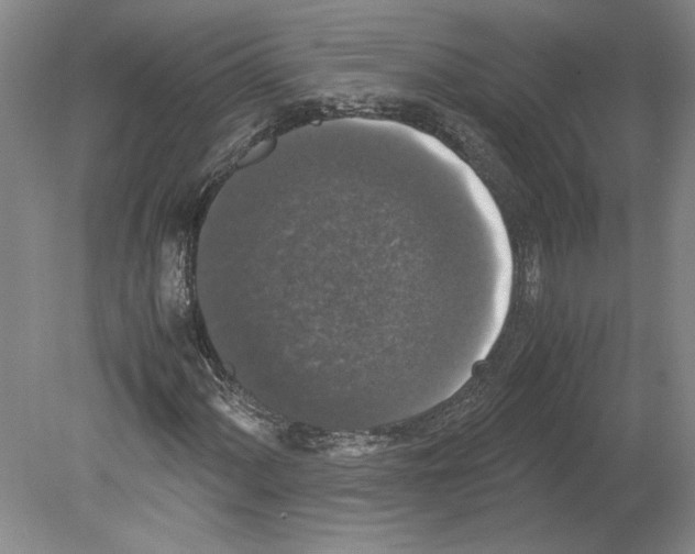 X0000078841060200612111550