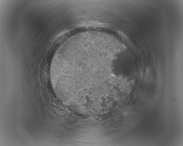 X0000078841063200612111549