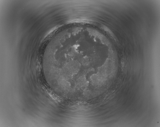 X0000078841064200612111549