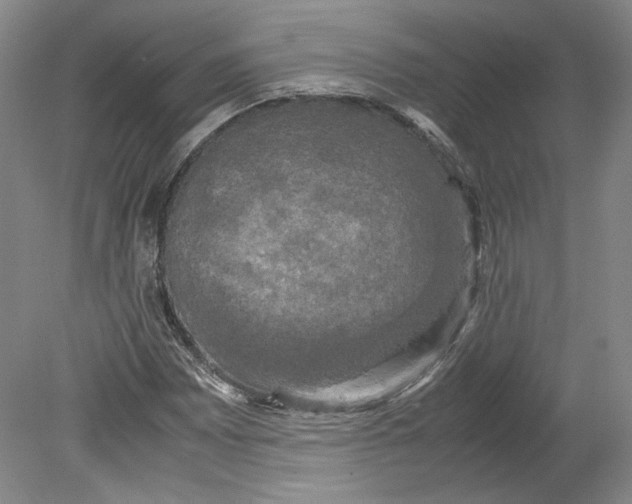 X0000078841065200612111549