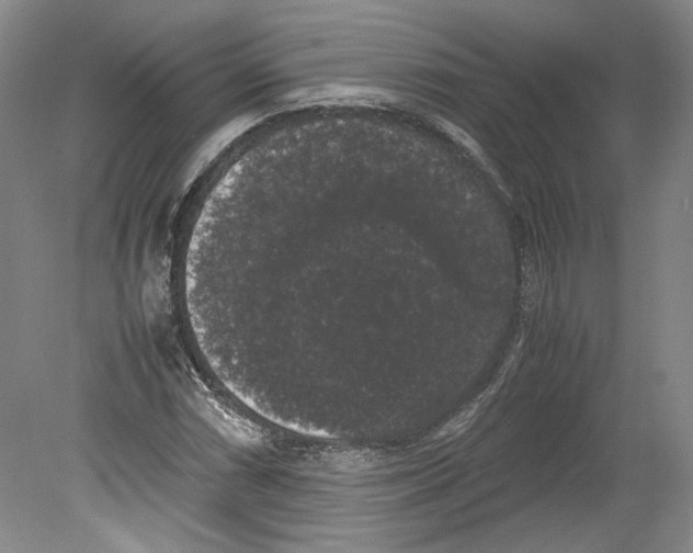 X0000078841066200612111549