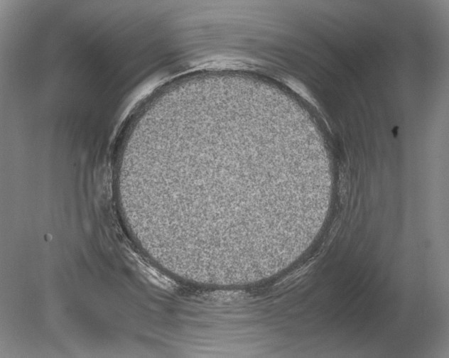 X0000078841067200612111549