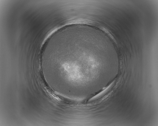 X0000078841069200612111549