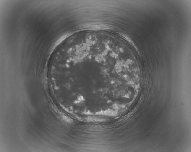 X0000078841071200612111549