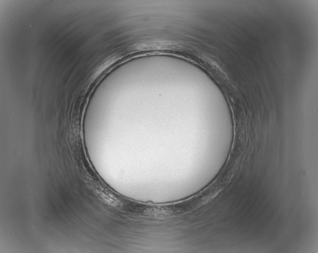 X0000078841073200612111549