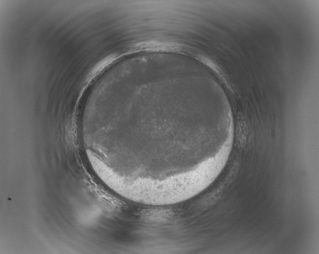 X0000078841074200612111549