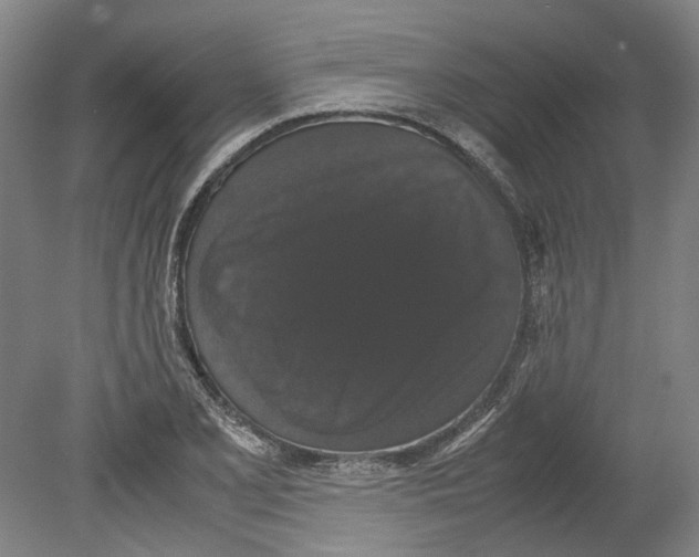 X0000078841077200612111549