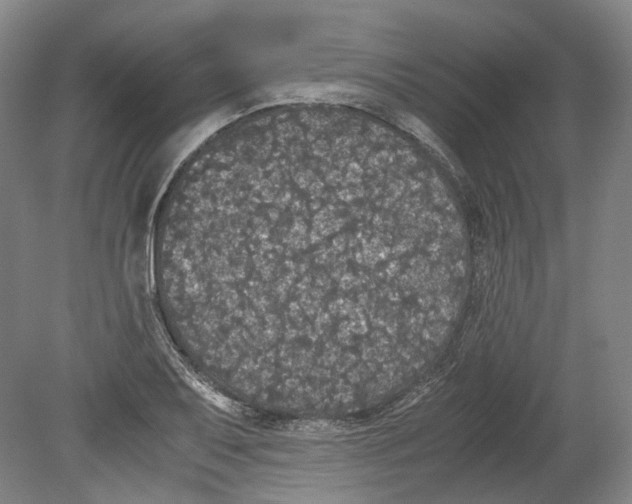 X0000078841079200612111549