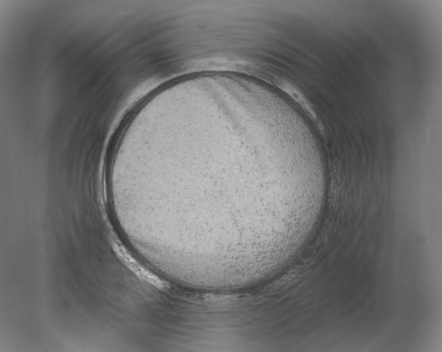 X0000078841080200612111549