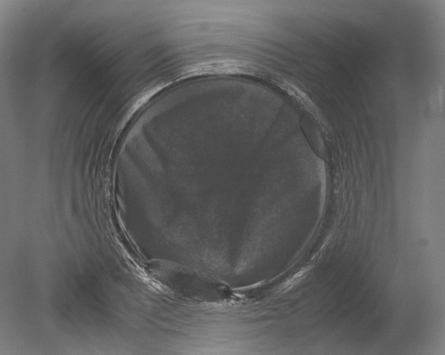 X0000078841081200612111549