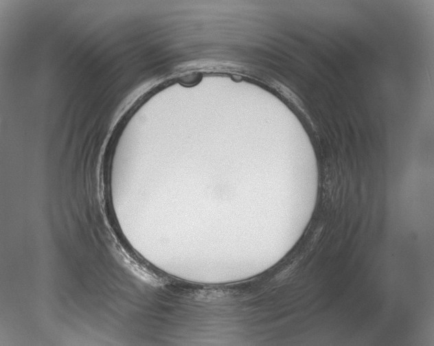 X0000078841082200612111549