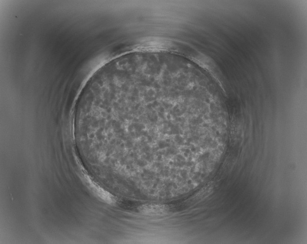 X0000078841083200612111549