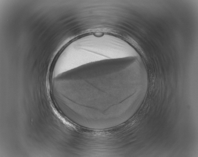 X0000078841084200612111549