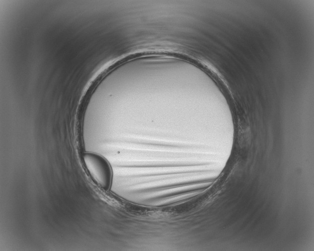 X0000078841085200612111549