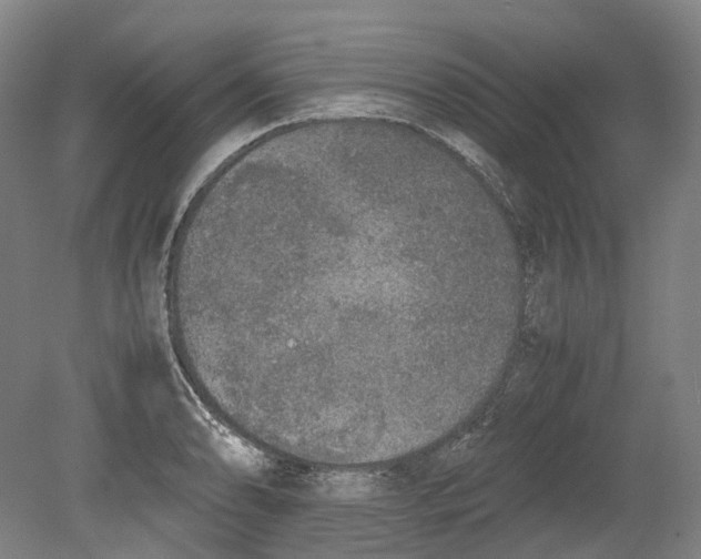 X0000078841086200612111549