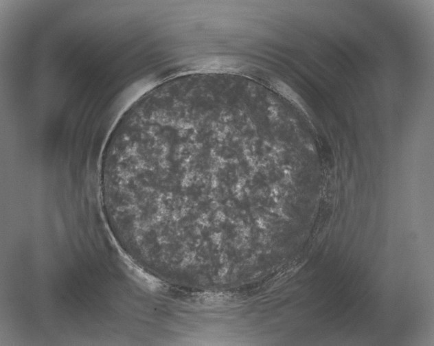 X0000078841087200612111549