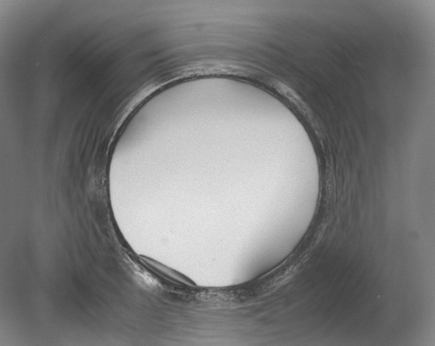 X0000078841089200612111549