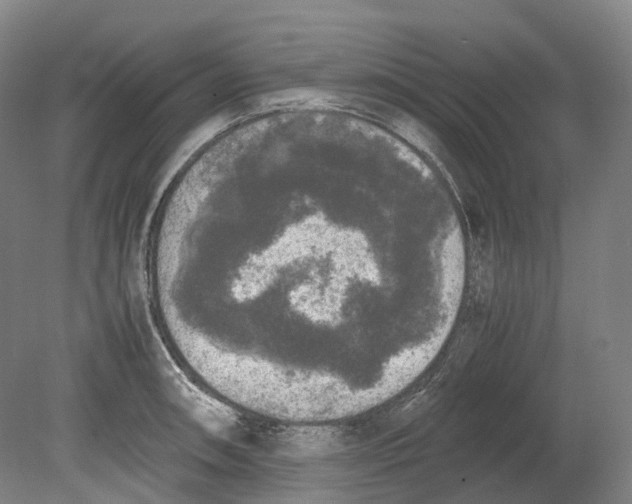 X0000078841090200612111549