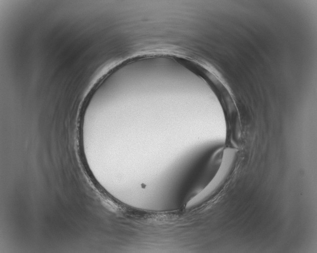 X0000078841093200612111549