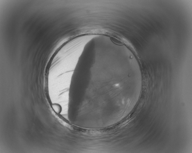 X0000078841095200612111549