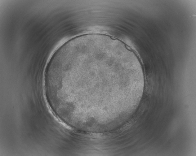 X0000078841096200612111549