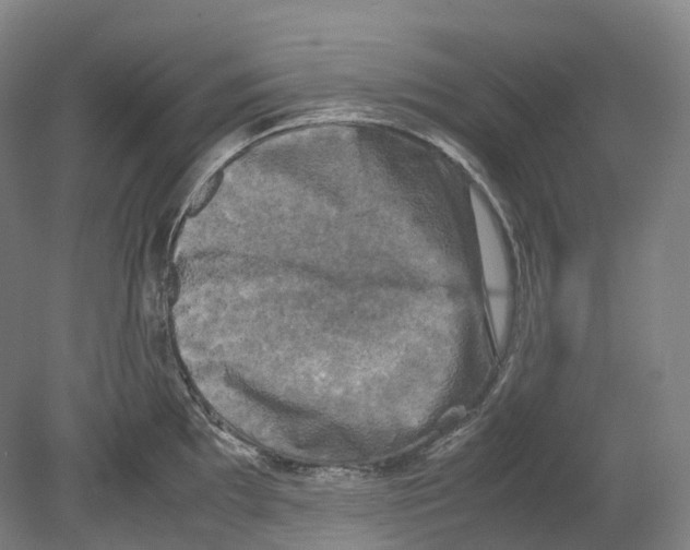 X0000078841097200612111549