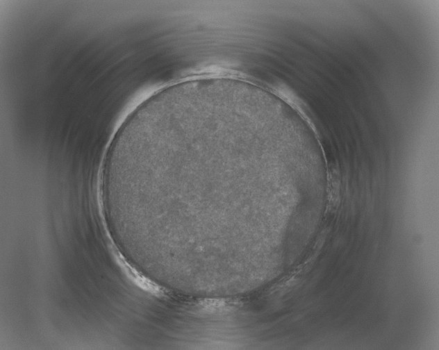 X0000078841098200612111549