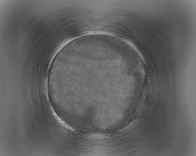 X0000078841100200612111549