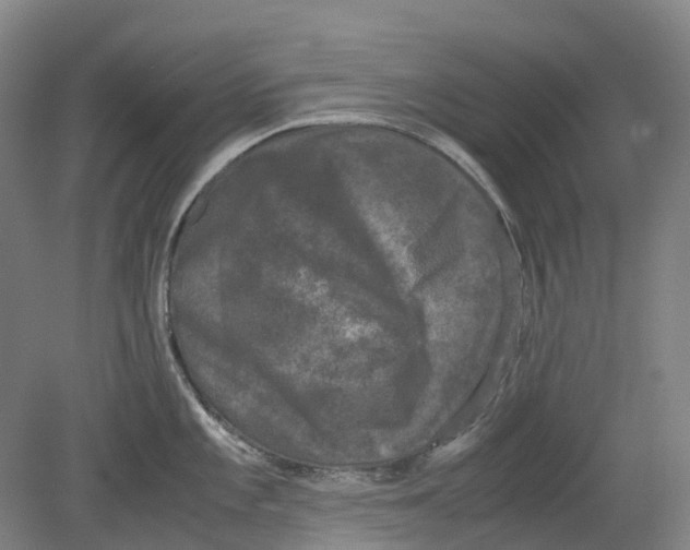 X0000078841101200612111549