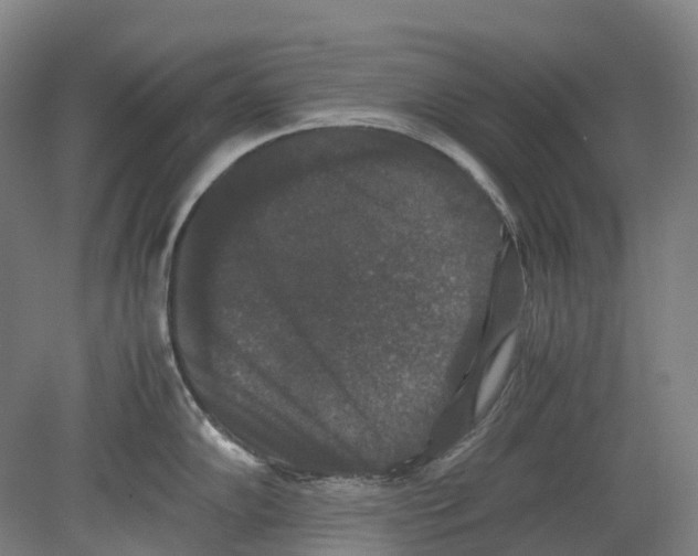 X0000078841102200612111549