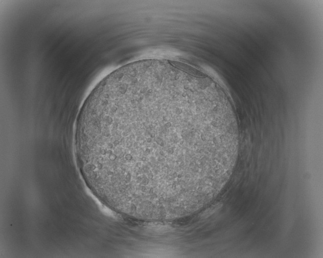 X0000078841103200612111549