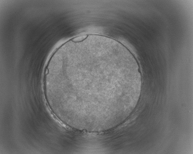 X0000078841104200612111549