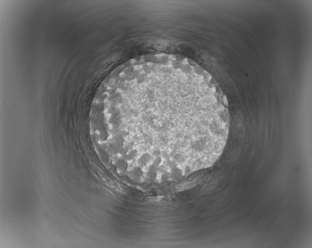 X0000078841105200612111548