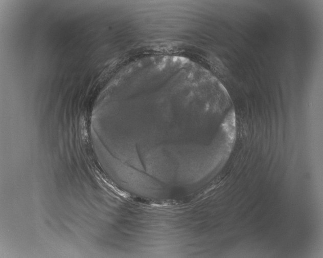 X0000078841106200612111548